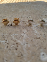 Load image into Gallery viewer, Clam Shell Studs
