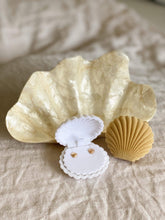Load image into Gallery viewer, Clam Shell Trinket Box
